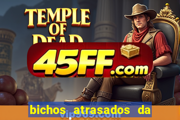 bichos atrasados da loteria federal